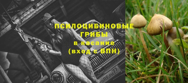 ALPHA PVP Домодедово