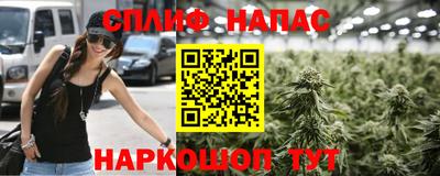 бошки Донской