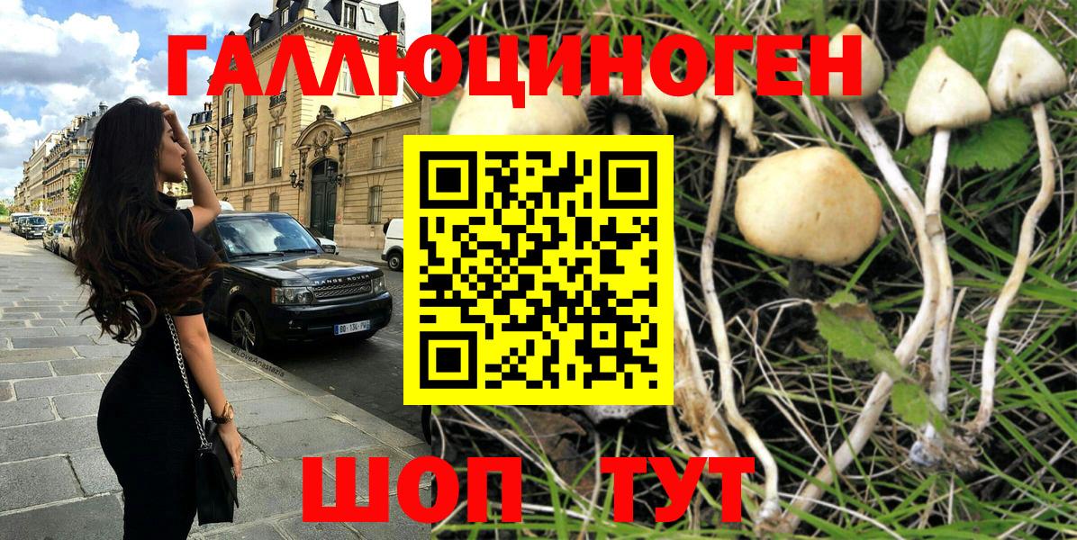 Чебоксары  Псилоцибиновые грибы Psilocybe  Вход с VPN  Галлюциногенные грибы мицелий 